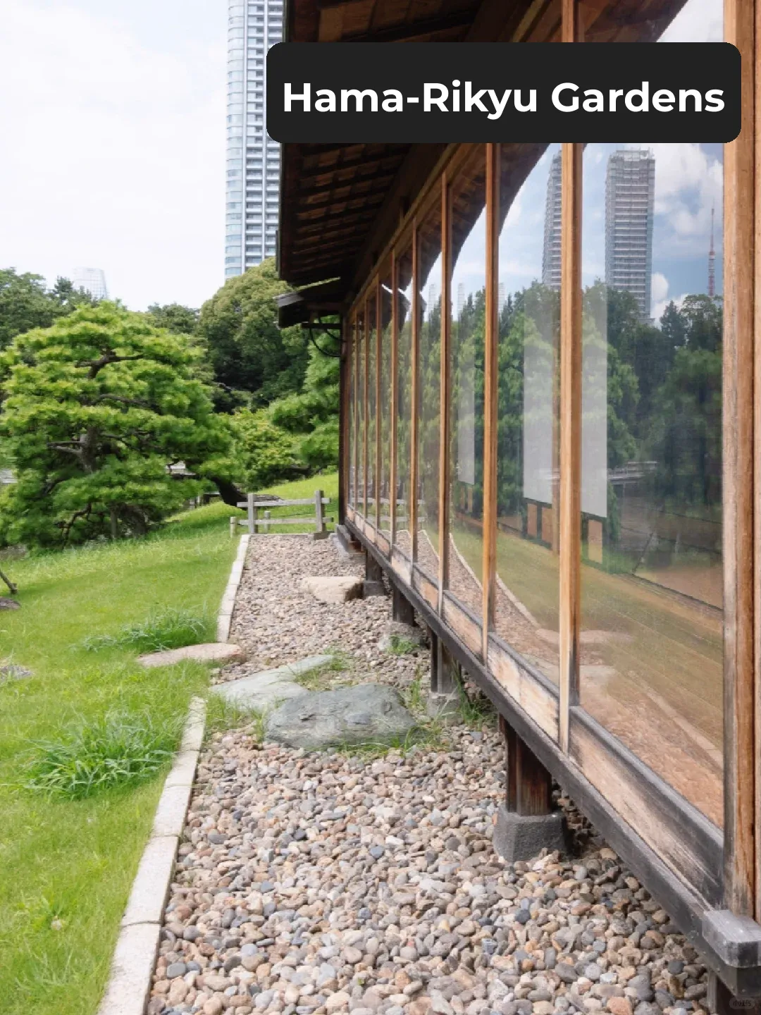 🌵 Tokyo Family Travel Guide 🦋 Fun for Kids! Includes Must-See Attractions List~