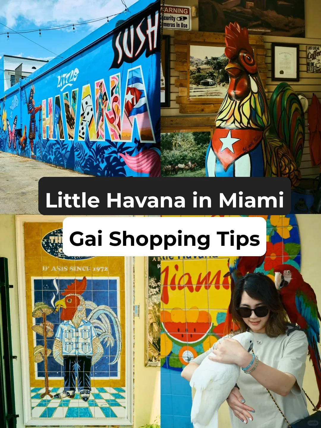 Miami | A Quick Guide to Little Havana's Cuban Vibes