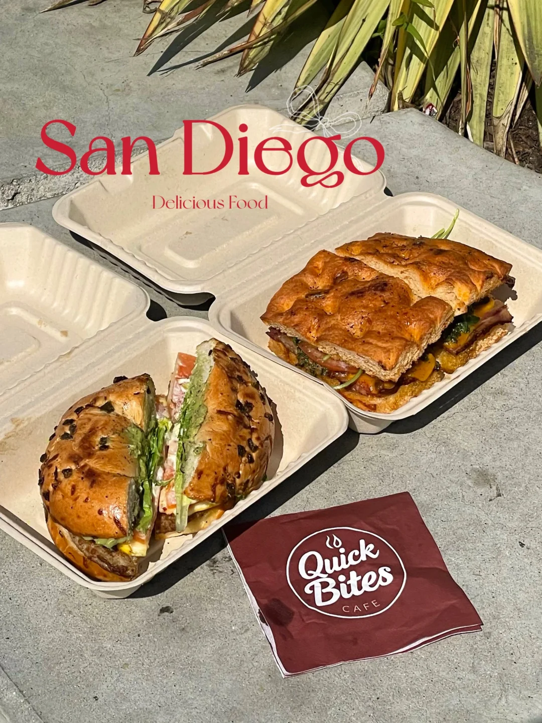 Perfect-Rated Sandwich Shop by Google 🥪🥯 San Diego Foodie Finds
