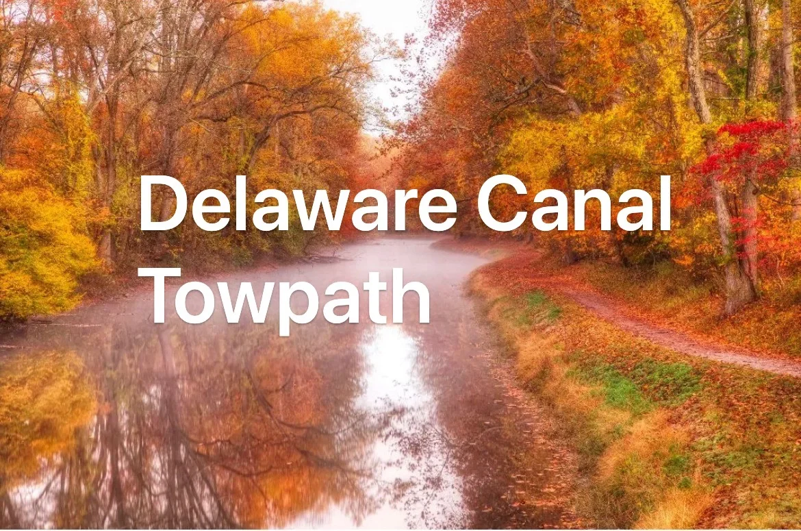 8 Classic Fall Hiking Trails Around Philadelphia