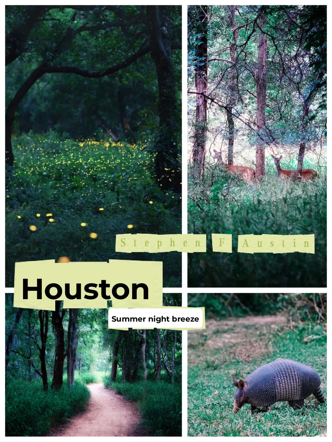 Houston Summer Night｜A Firefly Date with Your Loved One (Map Included)