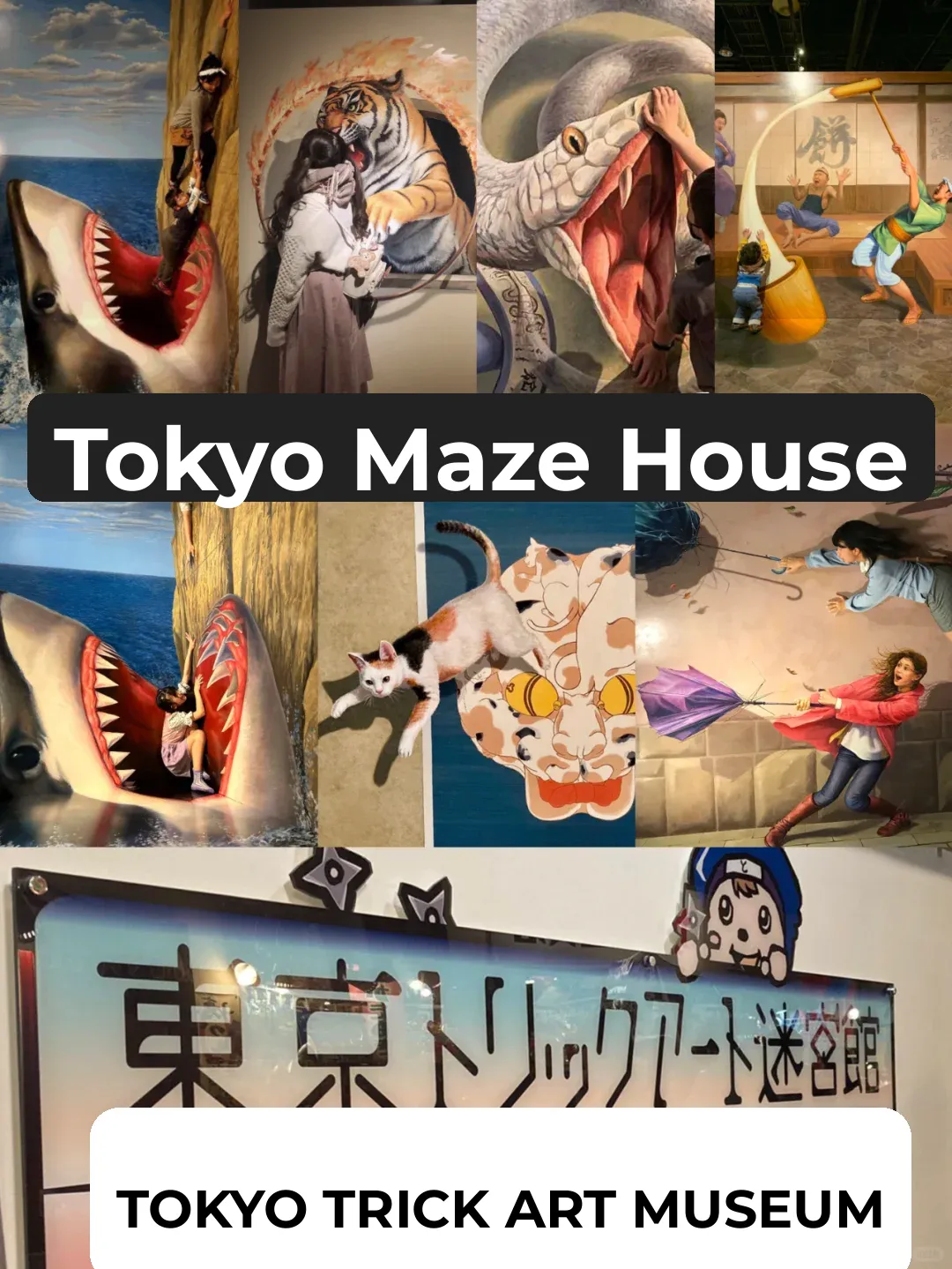 Spoiler Alert! Tokyo Travel - Where to Go on a Hot and Rainy Day?