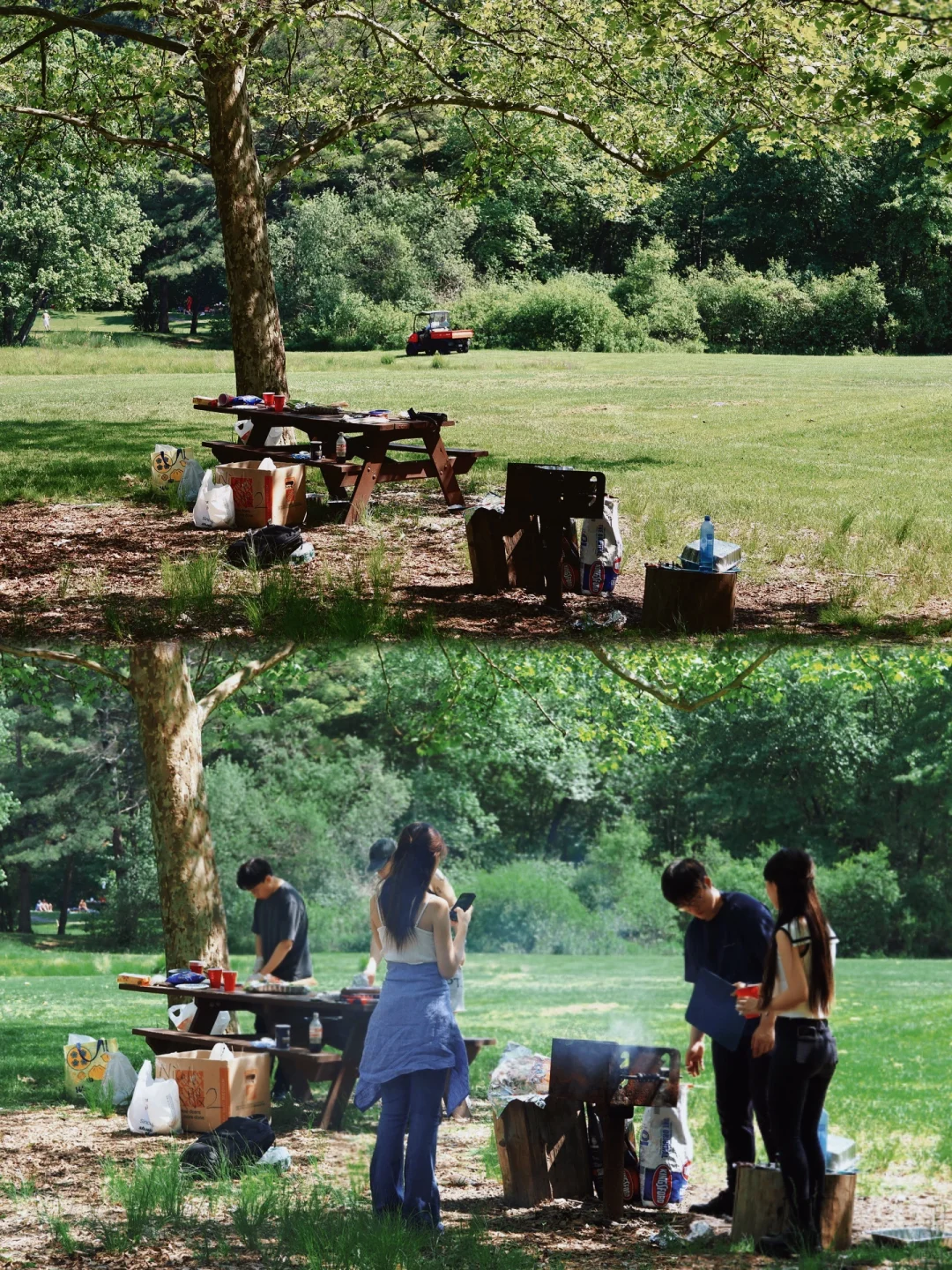 It's a Perfect Day for an Outdoor BBQ⛺️ Boston Grilling Adventure