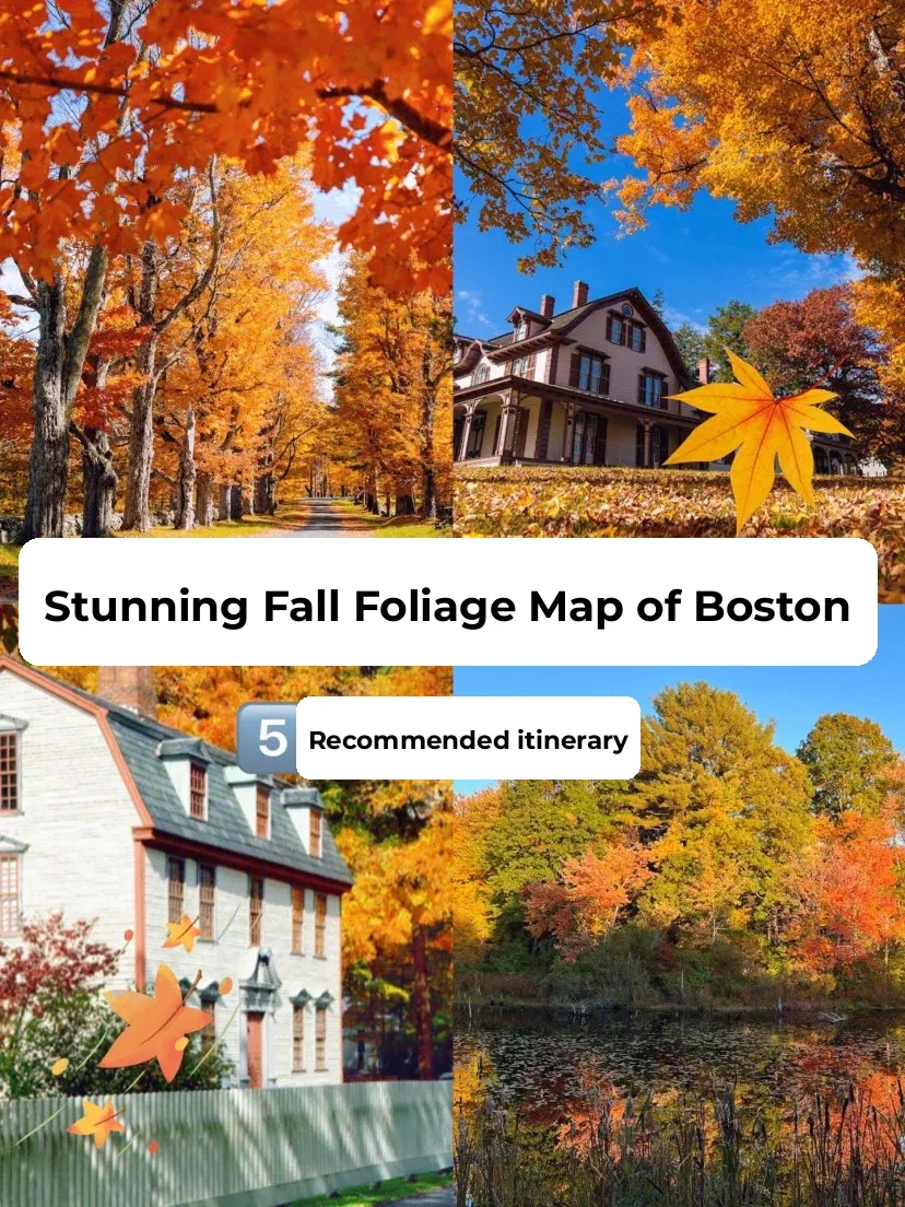 Boston's Stunning Fall Foliage Map｜5 Hidden Gem Routes for a Unique Adventure