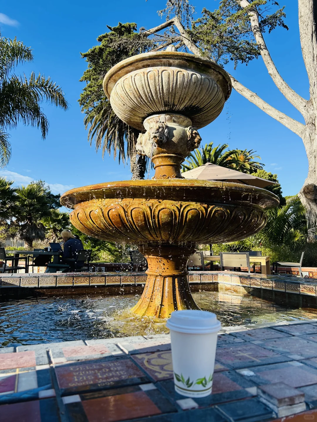 "Coffee Shop Exploration in Santa Cruz: Shrine"