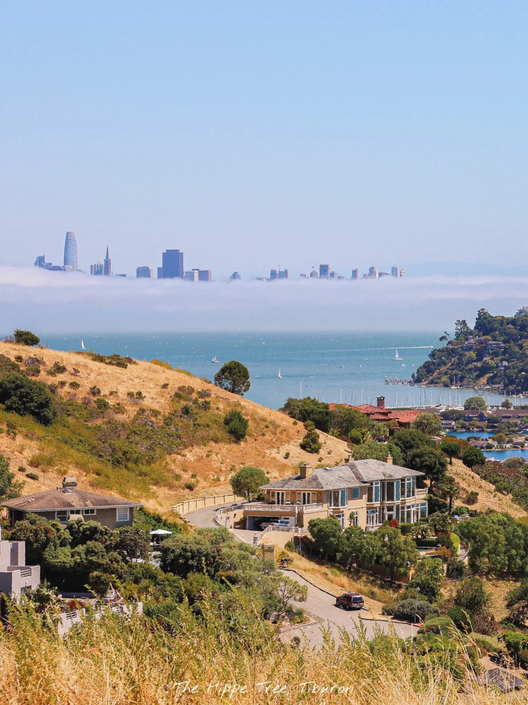 **Weekend in the Bay Area: Tiburon – Gazing at San Francisco Above the Sea of Clouds**