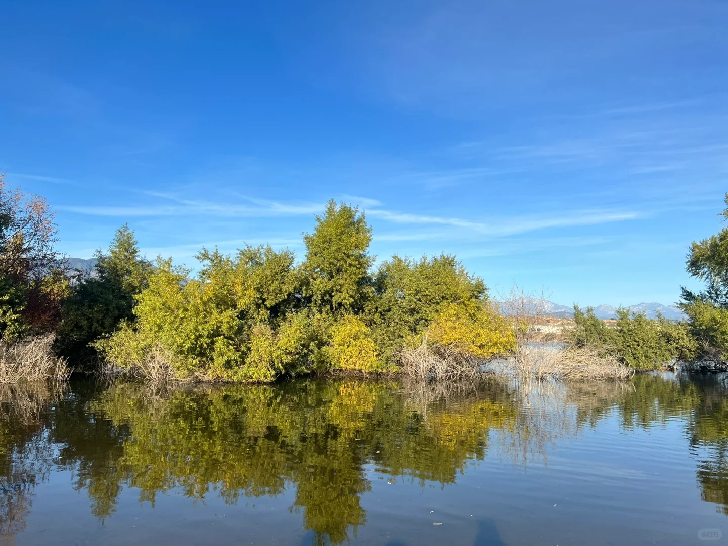 Hidden Gem in LA's Chinese Community: Perfect Weekend Getaway for Relaxation