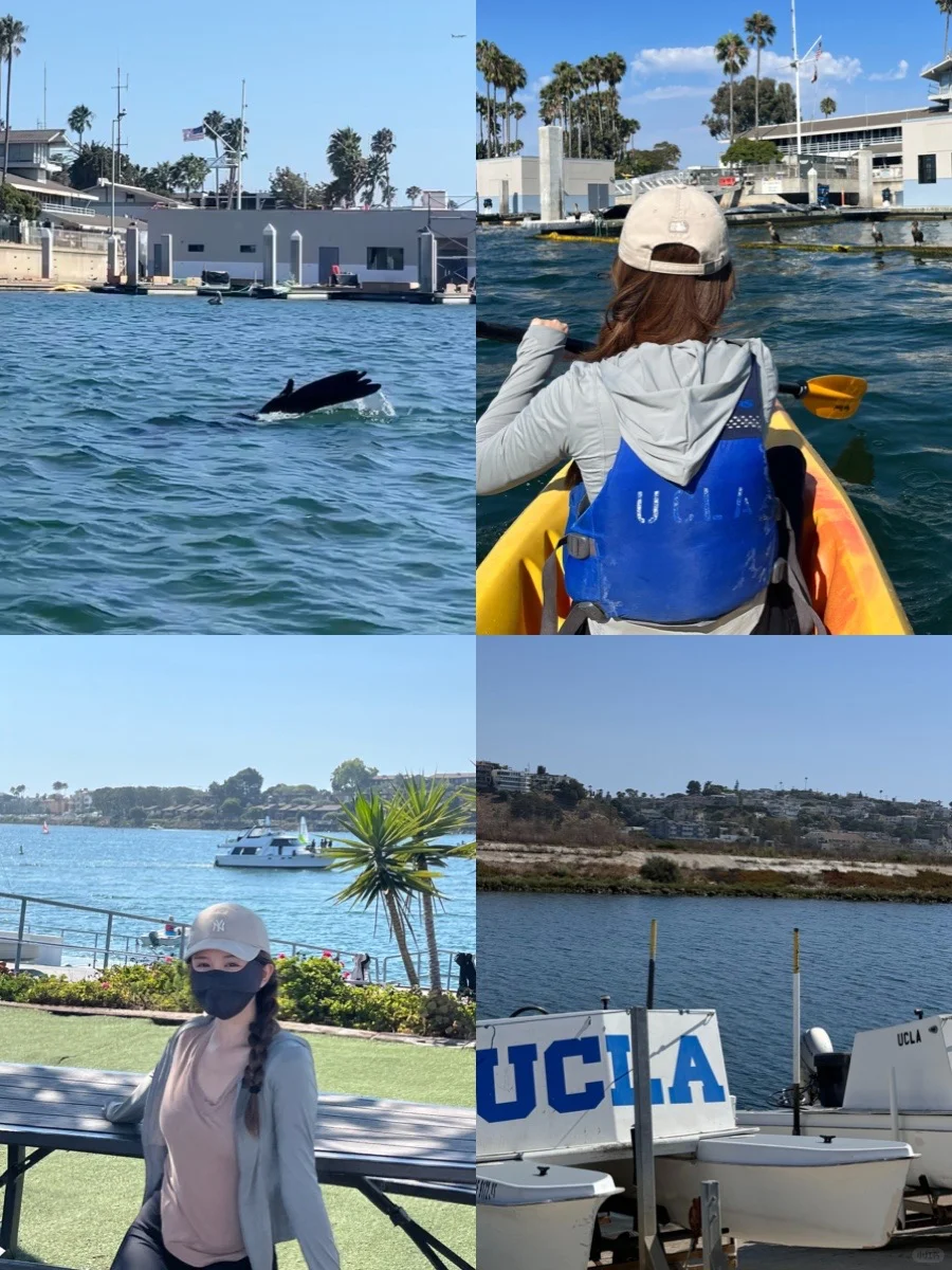 LA Free Kayaking Guide 🚣‍♀️ Plus, Spotting Sea Lions 🦭