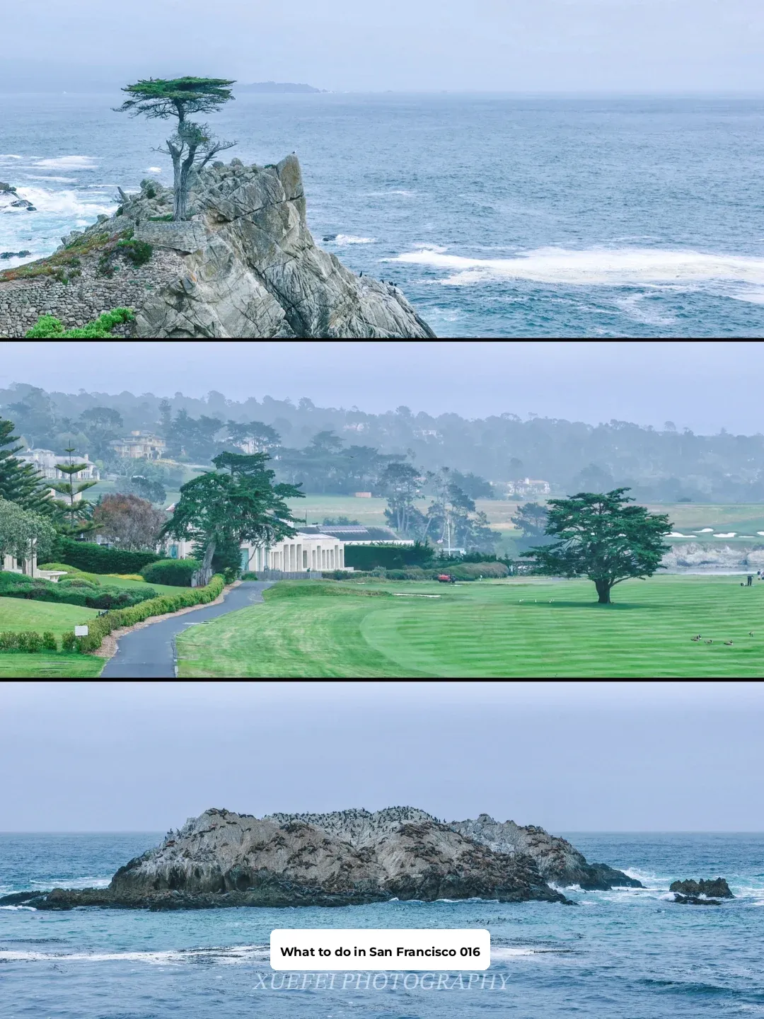 San Francisco | Must-Visit 17-Mile Drive on Highway 1