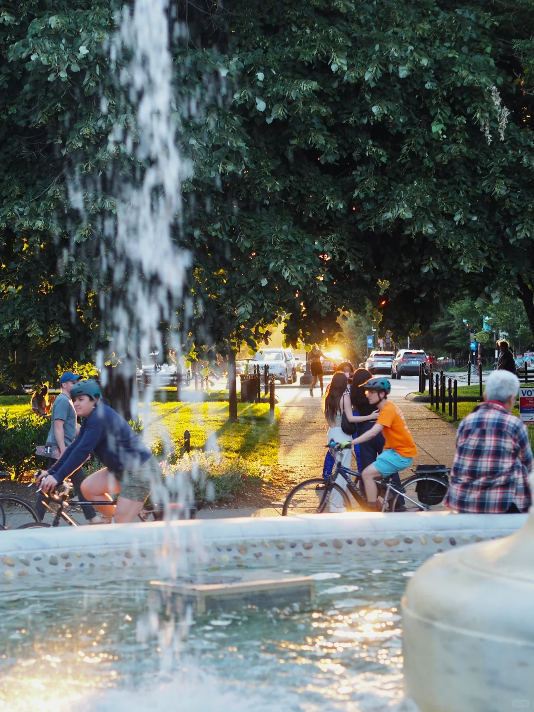 DMV｜But Summer Has Only Just Begun!