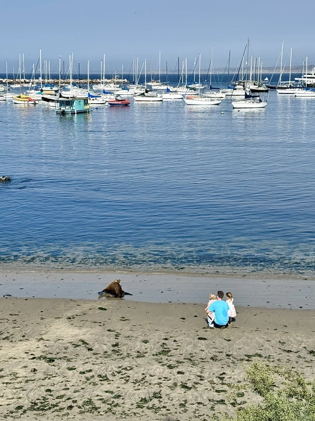 Lazy Traveler's Guide to California Highway 1