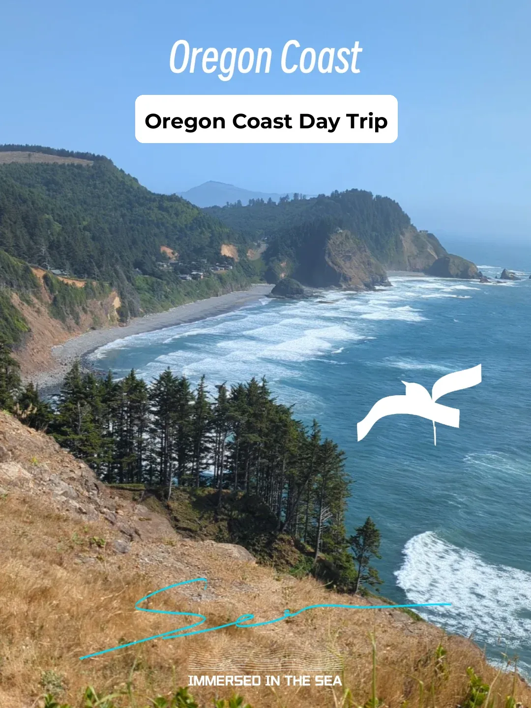 🇺🇸 Oregon Coast Attractions: Must-See Spots & Pitfalls to Avoid