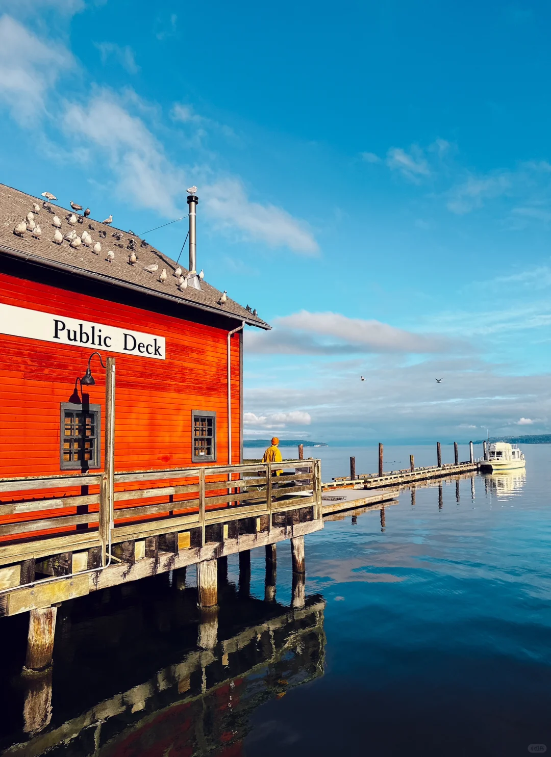 Winter Day Trip to Whidbey Island Near Seattle 🌤️🌊