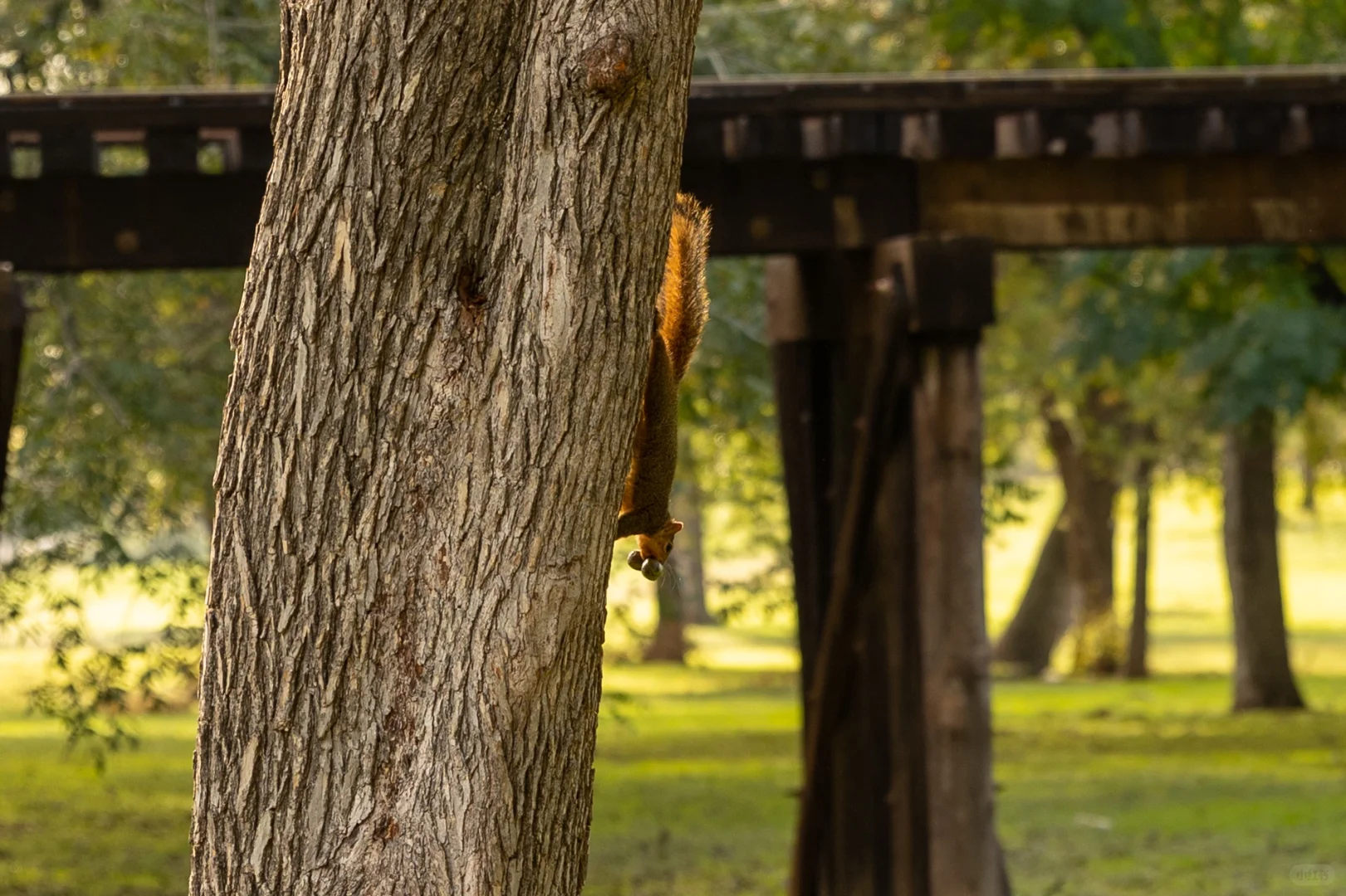 Autumn in Fort Worth