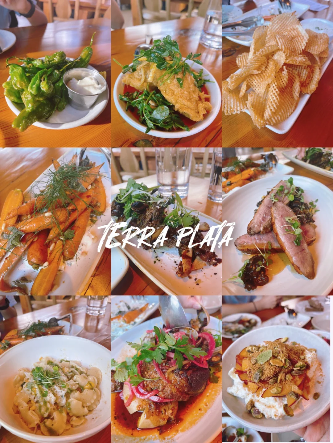 Honest Food Review: SEATTLE - TERRA PLATA