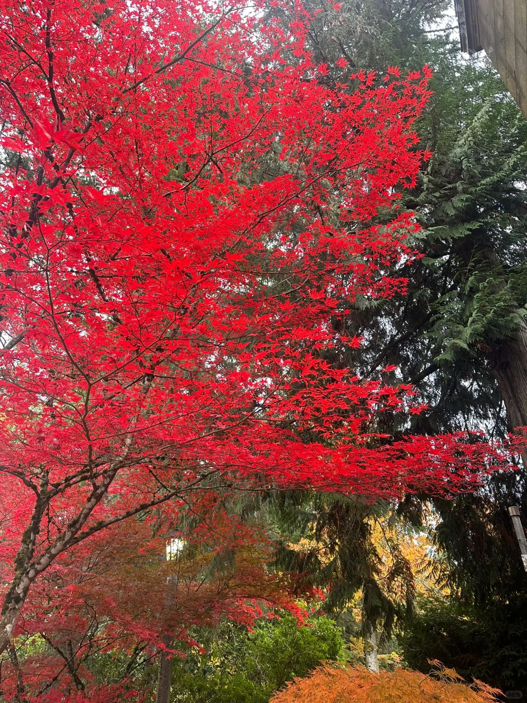 (Scenery & Cuisine) Portland Brunch