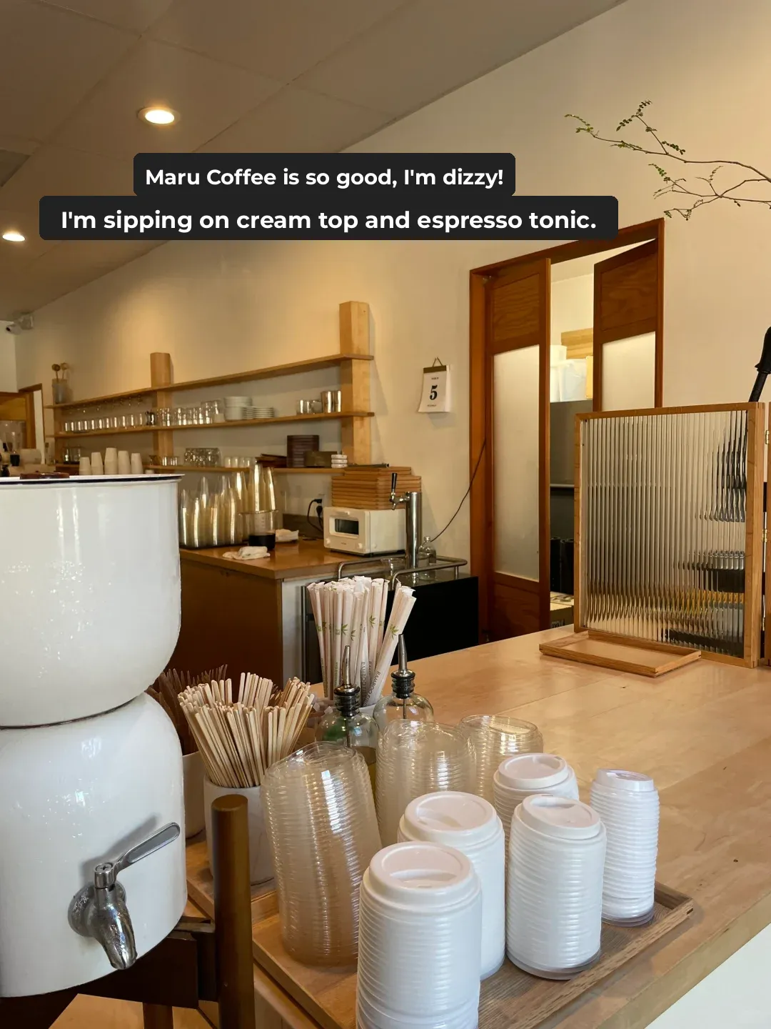 🧃LA Diary｜Sunlit Fragments of a Los Angeles Holiday🎨