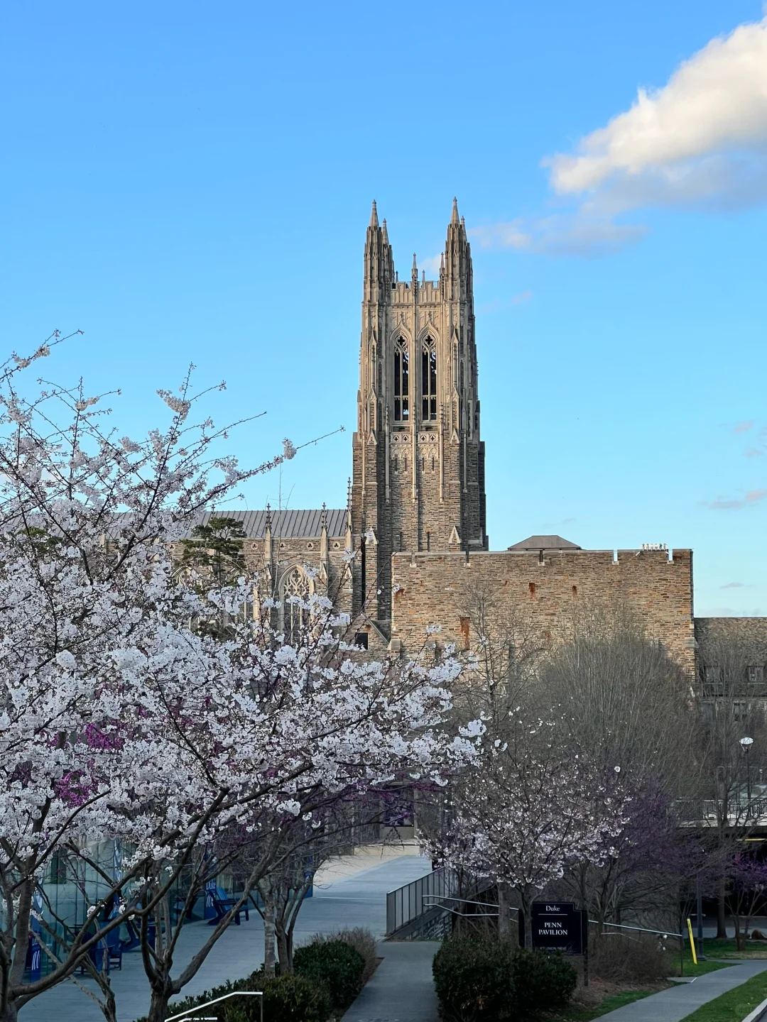 Duke University, Absolutely Stunning