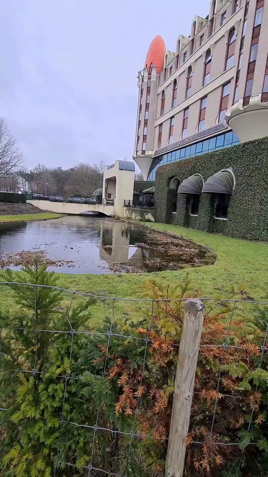 photo-1