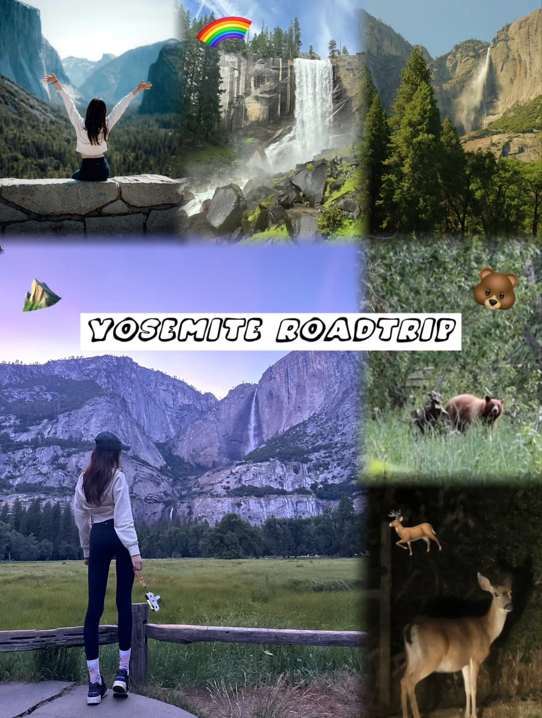 Encountered a Brown Bear in Yosemite! [Including Travel Itinerary]