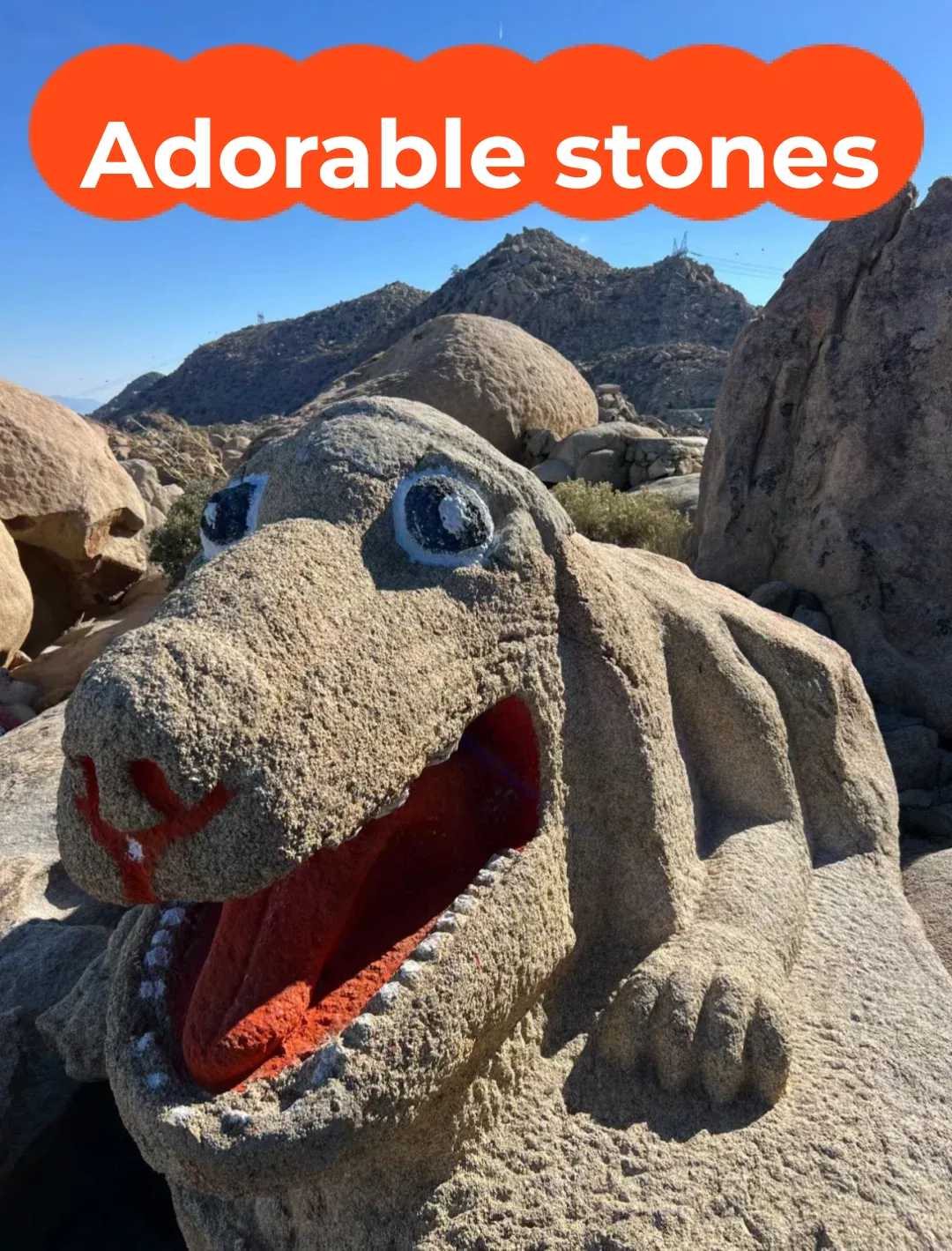 Must-Visit Fun Spots in San Diego This Weekend!