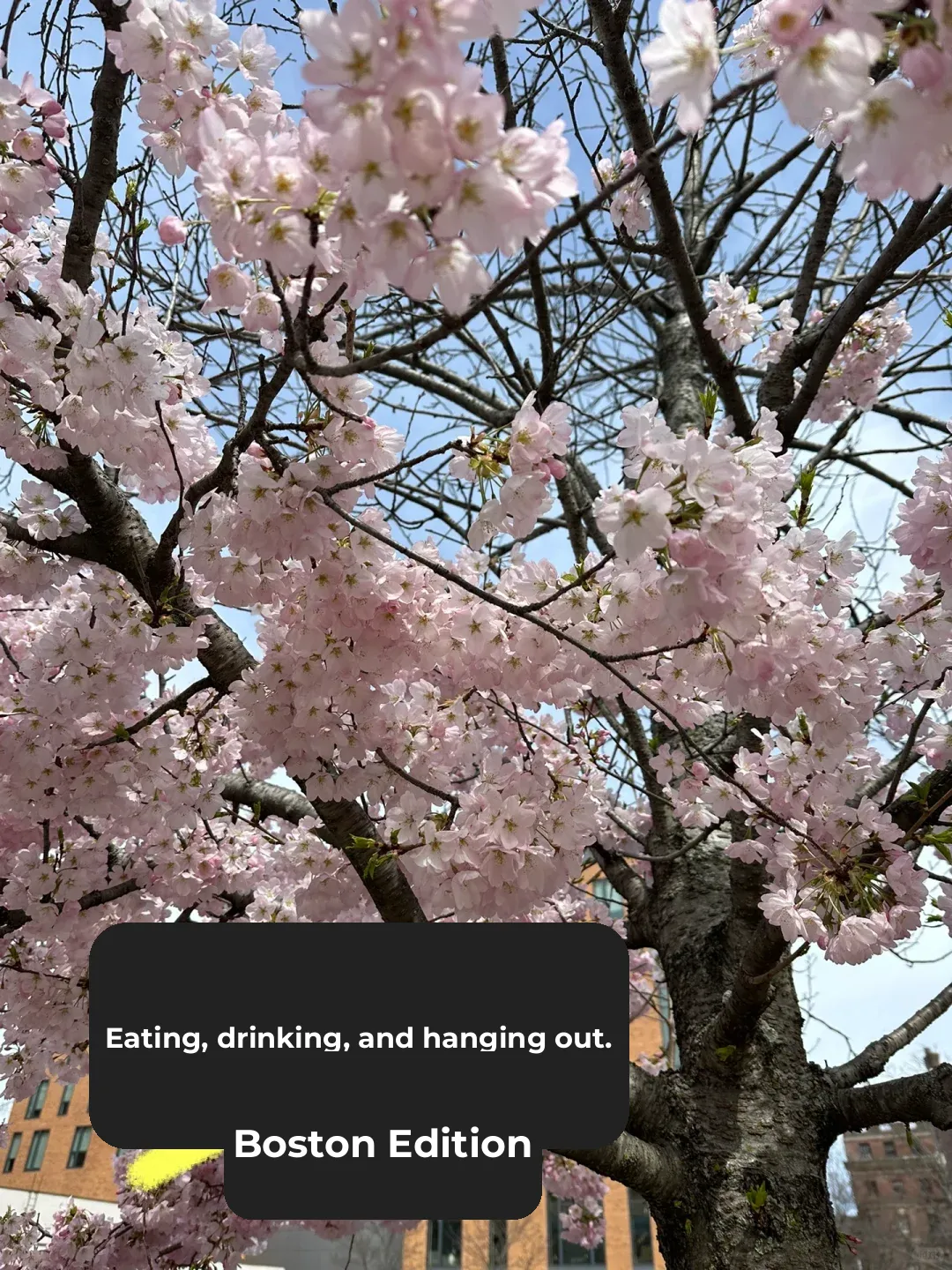 The Must-Try Eats in Charming Small Towns Around Boston Worth Remembering