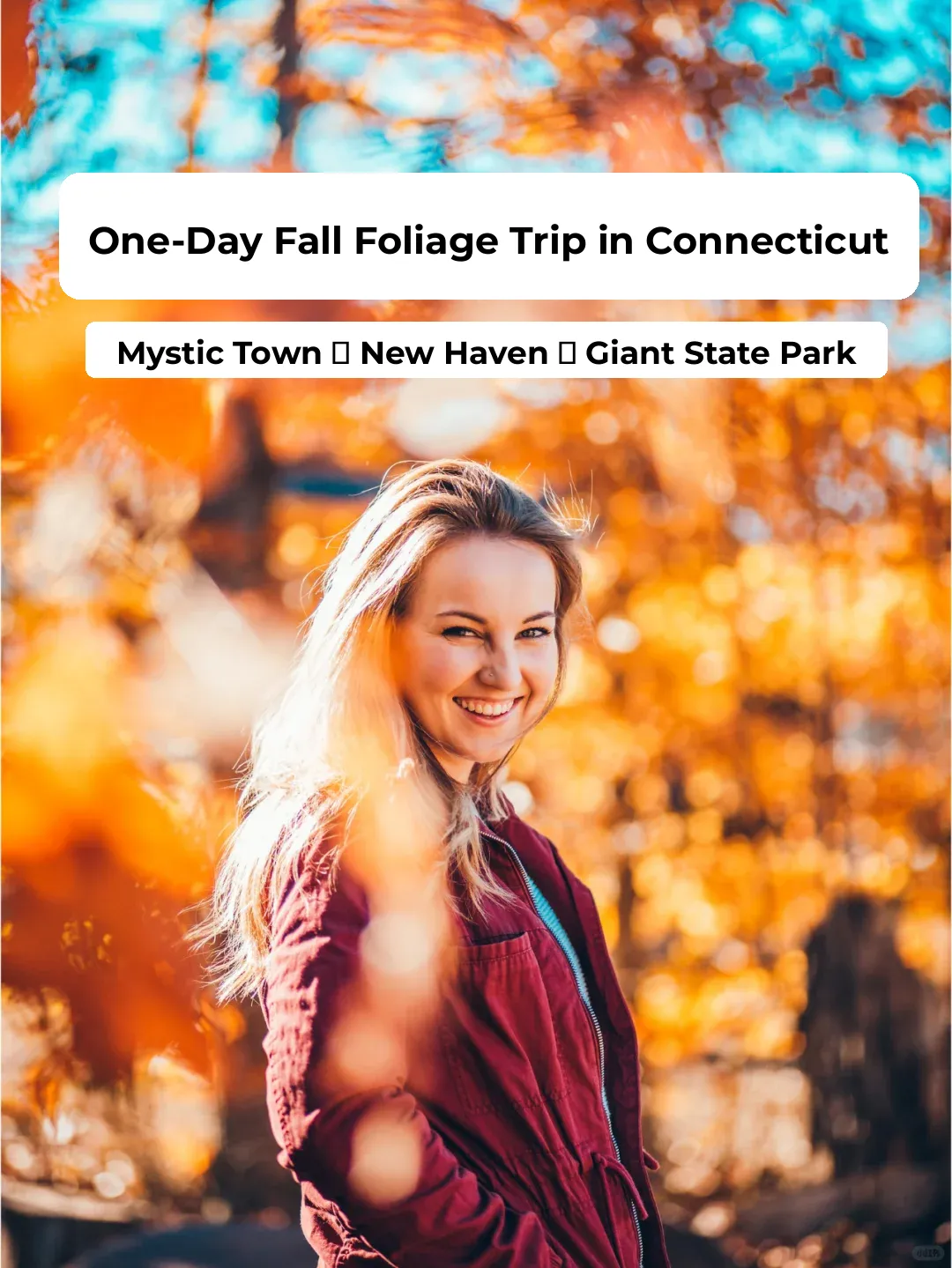 USA Travel: NYC In & Out, Connecticut Foliage Hunt