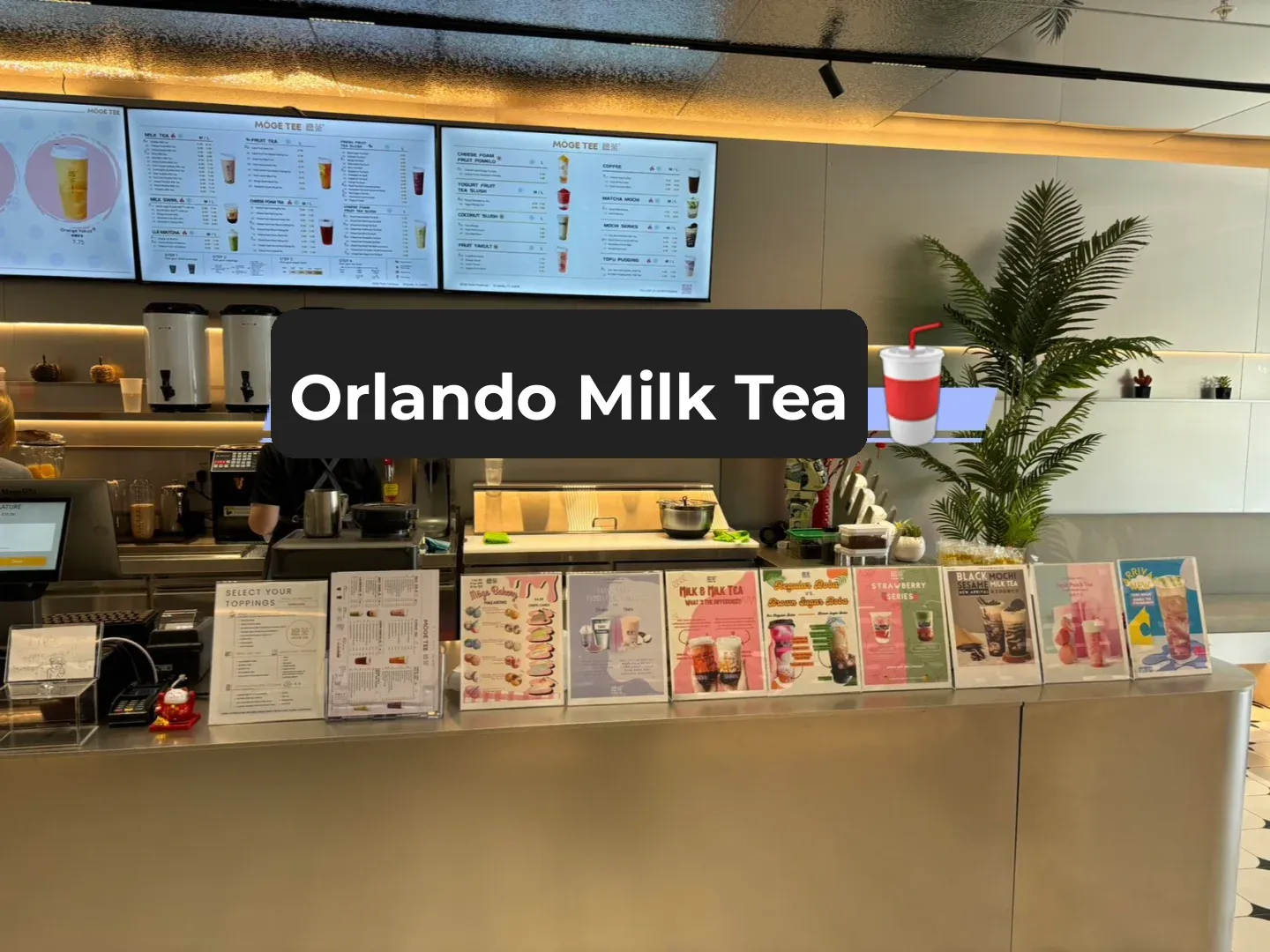 Best Bubble Tea in Orlando 🥤