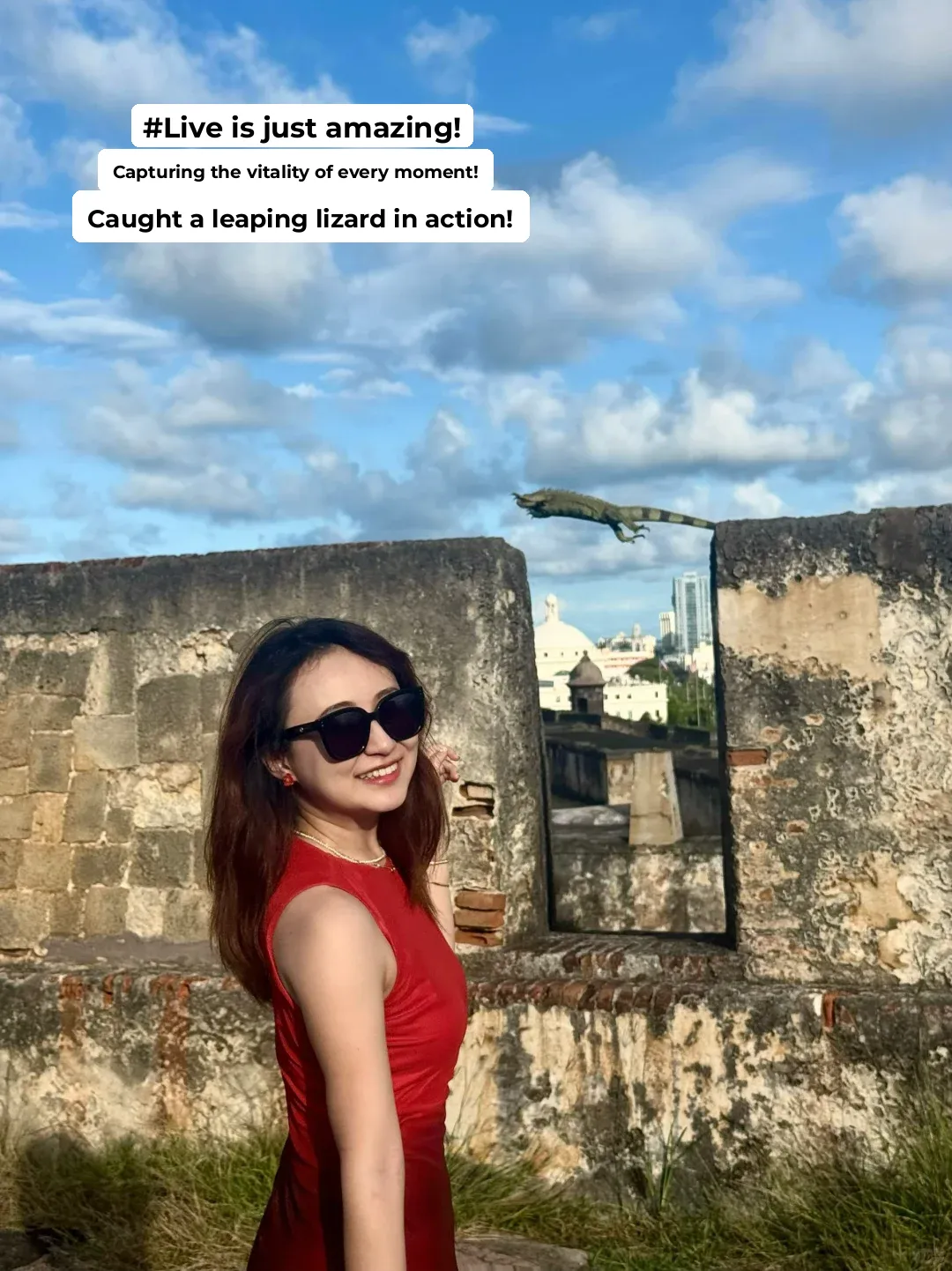 The Vitality Captured in Live Photos! 🐚🦎☀️ Spotting a Flying Lizard 🤣