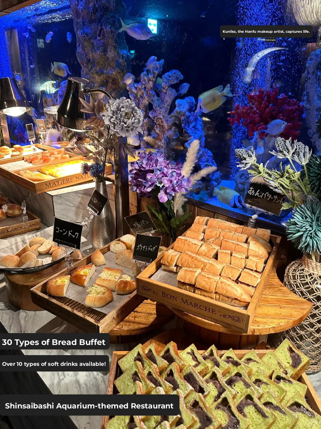 Shinsaibashi | Aquarium Restaurant: All-You-Can-Eat Lunch Buffet from 1500 Yen