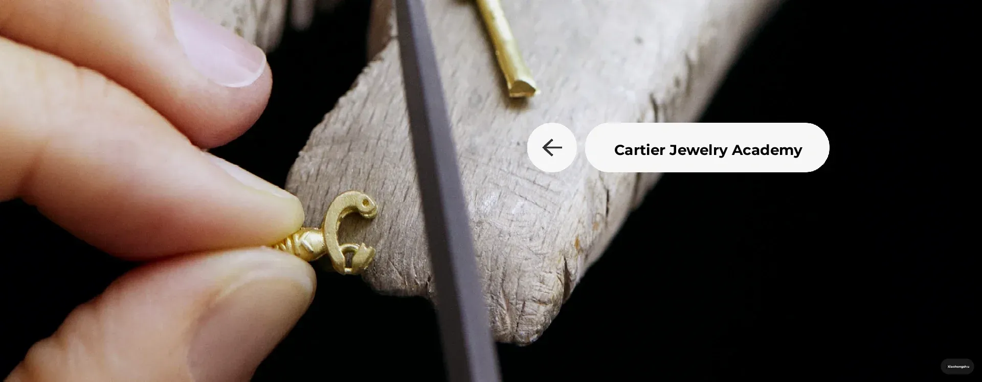 🇫🇷 Bleeding-Edge Guide! Top Spots in Little Paris for European Heritage Days