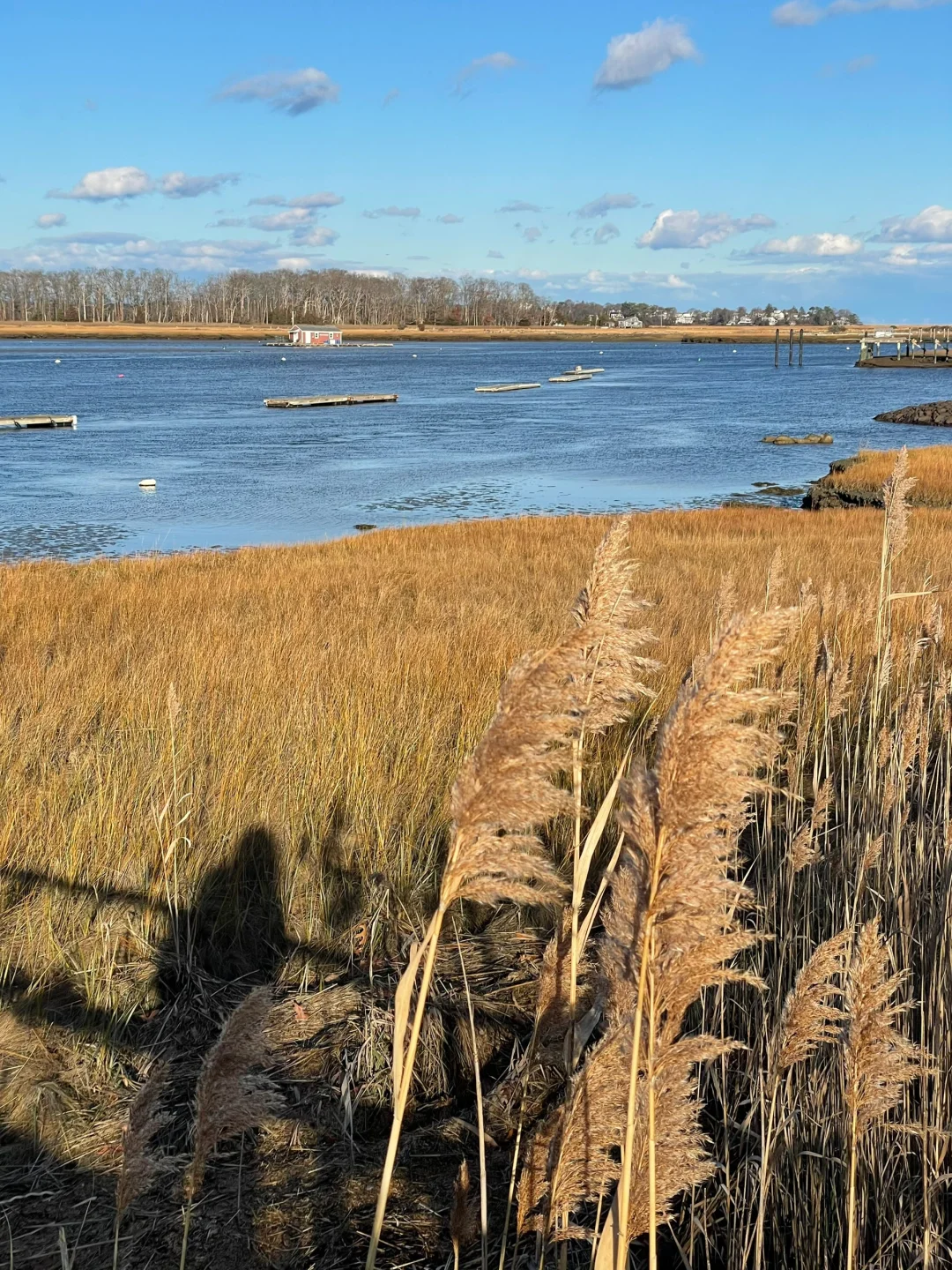 Boston Hiking | North River Wildlife Sanctuary 🐦
