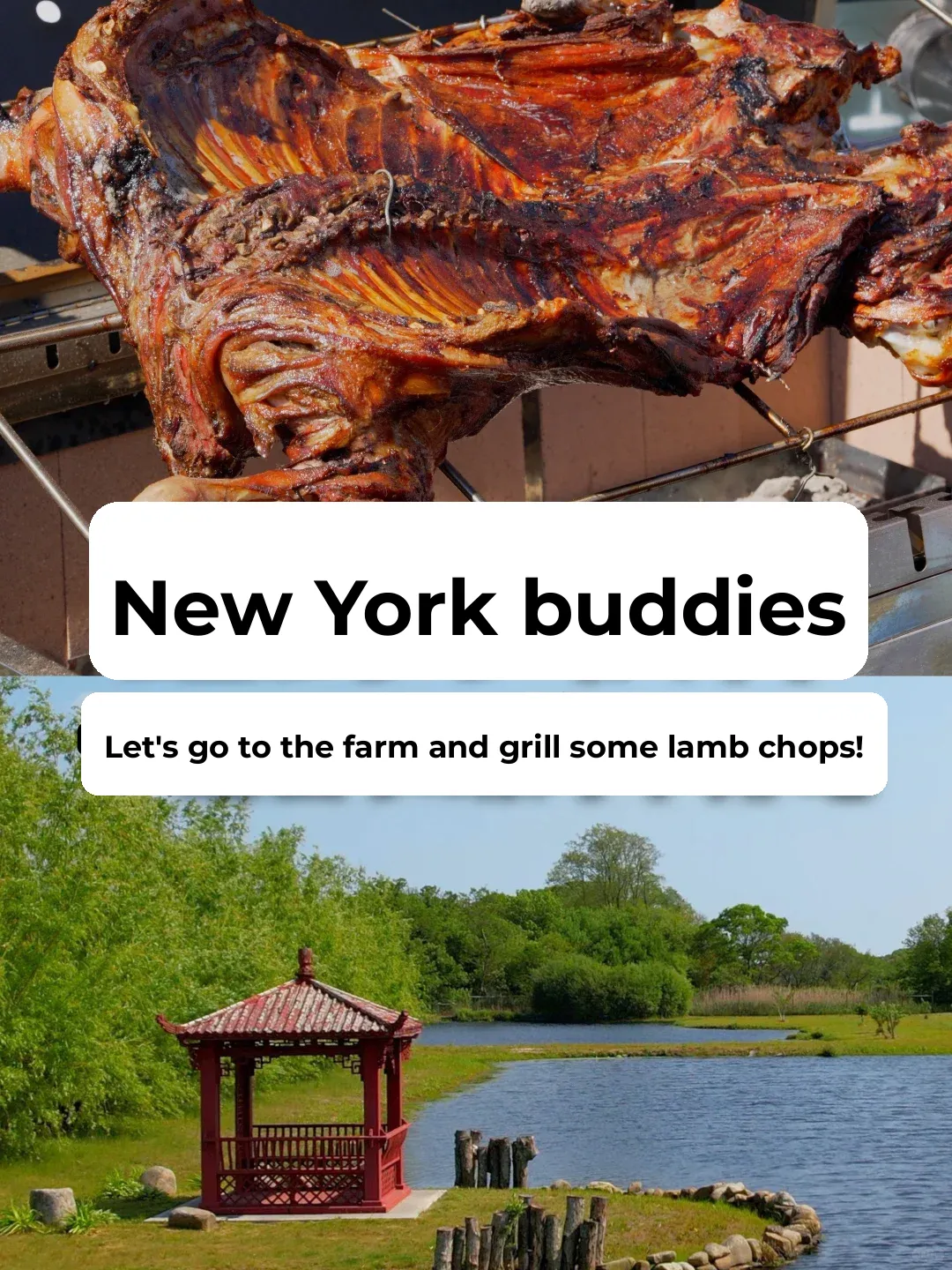 A Purely Natural and Organic Chinese-Owned Farm in Long Island, New York