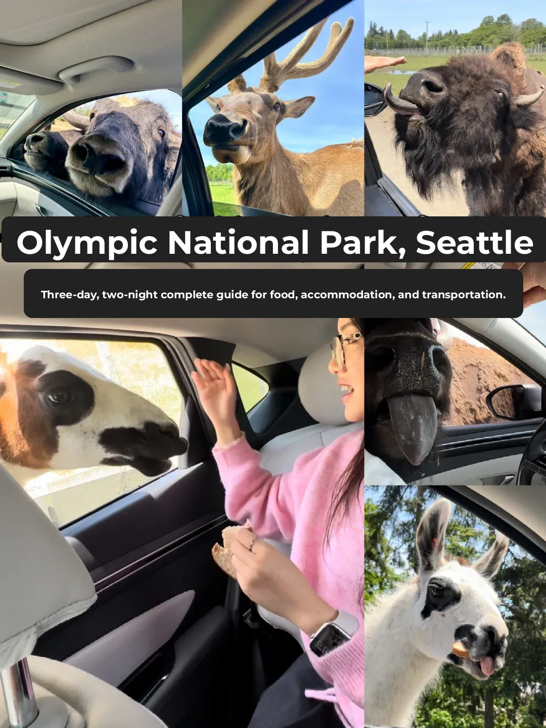 Olympic National Park | 3-Day Hiking Super Practical Guide 💕