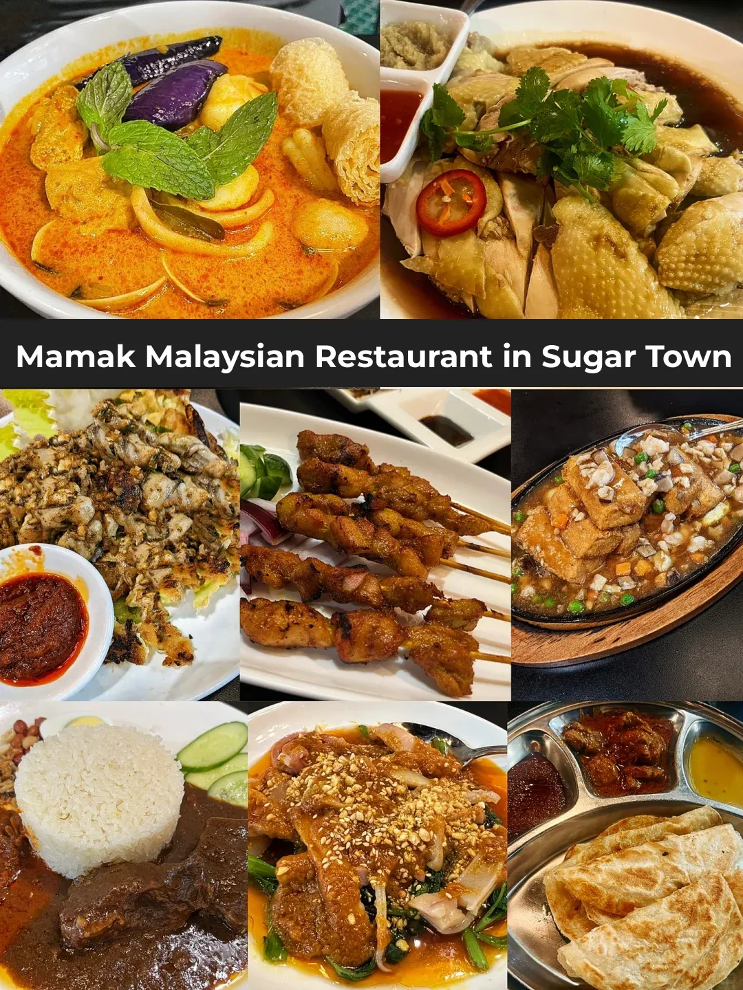 Houston Sugar Land Food Exploration: Malaysian Restaurant Mamak
