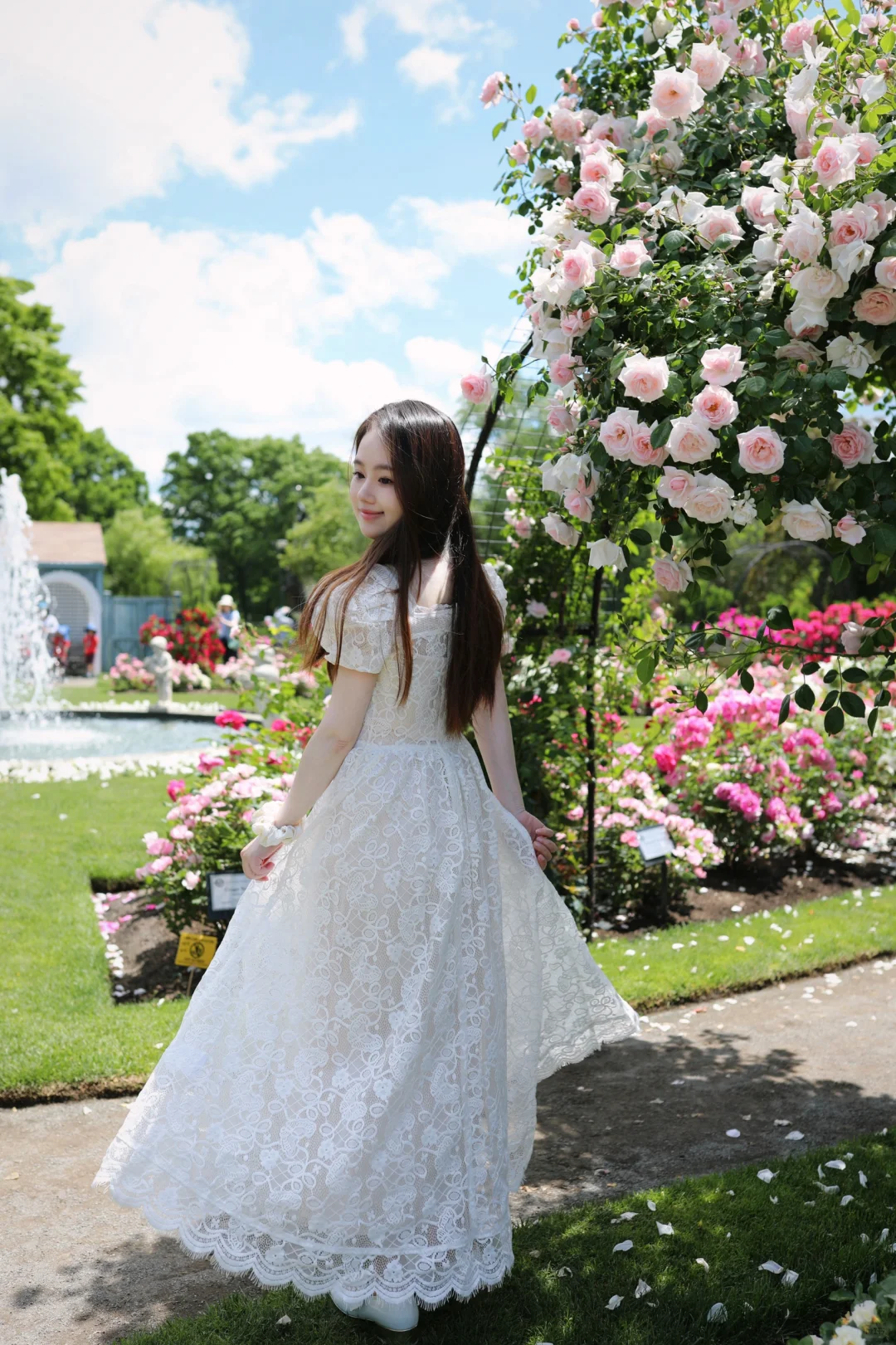 Boston Rose Garden | Fenway's Summer Floral Mirror 🥀🐇
