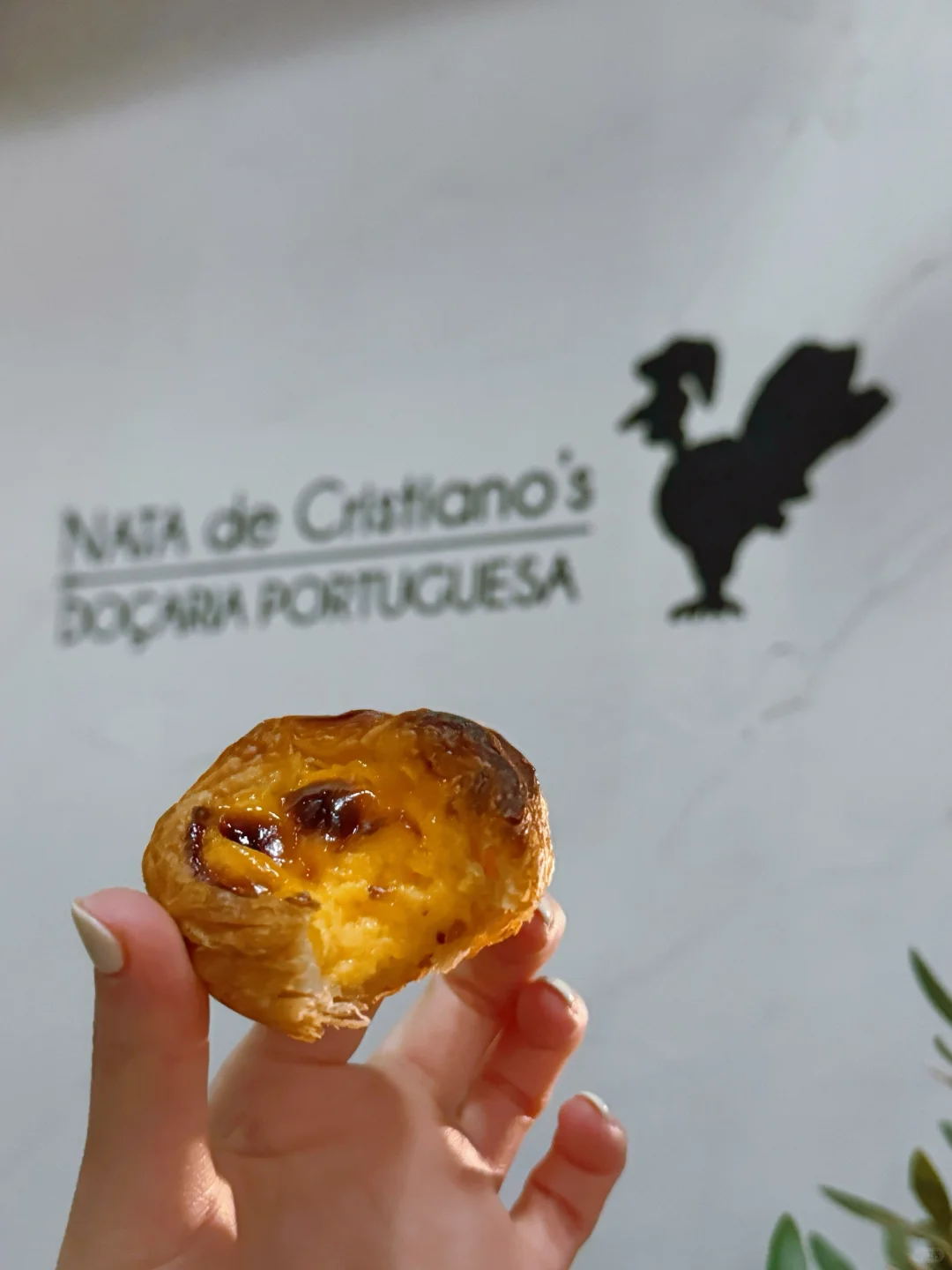 Tokyo｜Got to Try the Most Famous Portuguese Egg Tarts Without Waiting in Line!