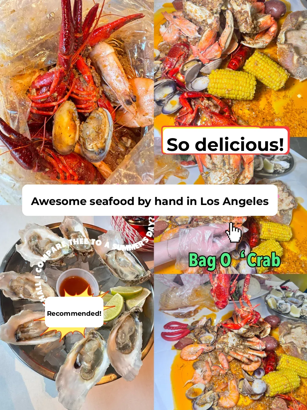 Amazing hand-caught seafood in LA with unbeatable value for money