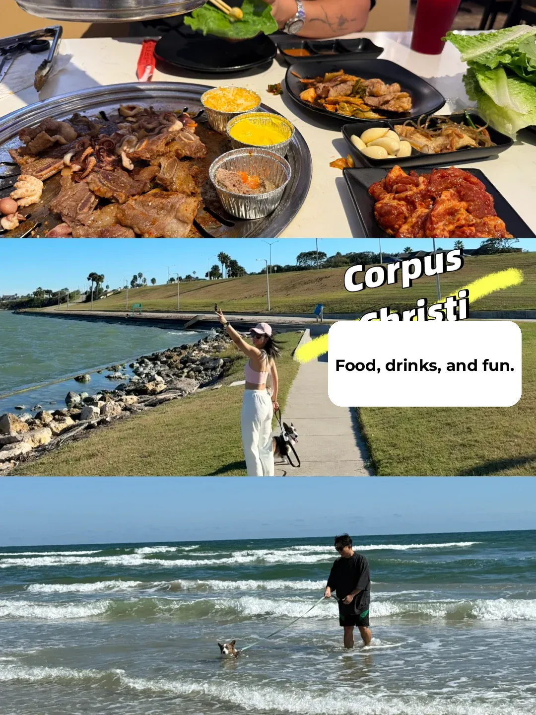 A Day in Corpus Christi: Eating, Drinking, and Playing with My Dog