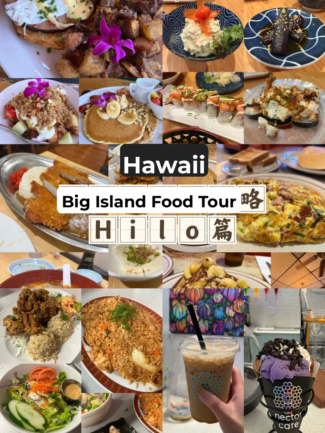 Hawaii's Big Island Food Guide: Hilo Edition 🥞🥟🍛🧋