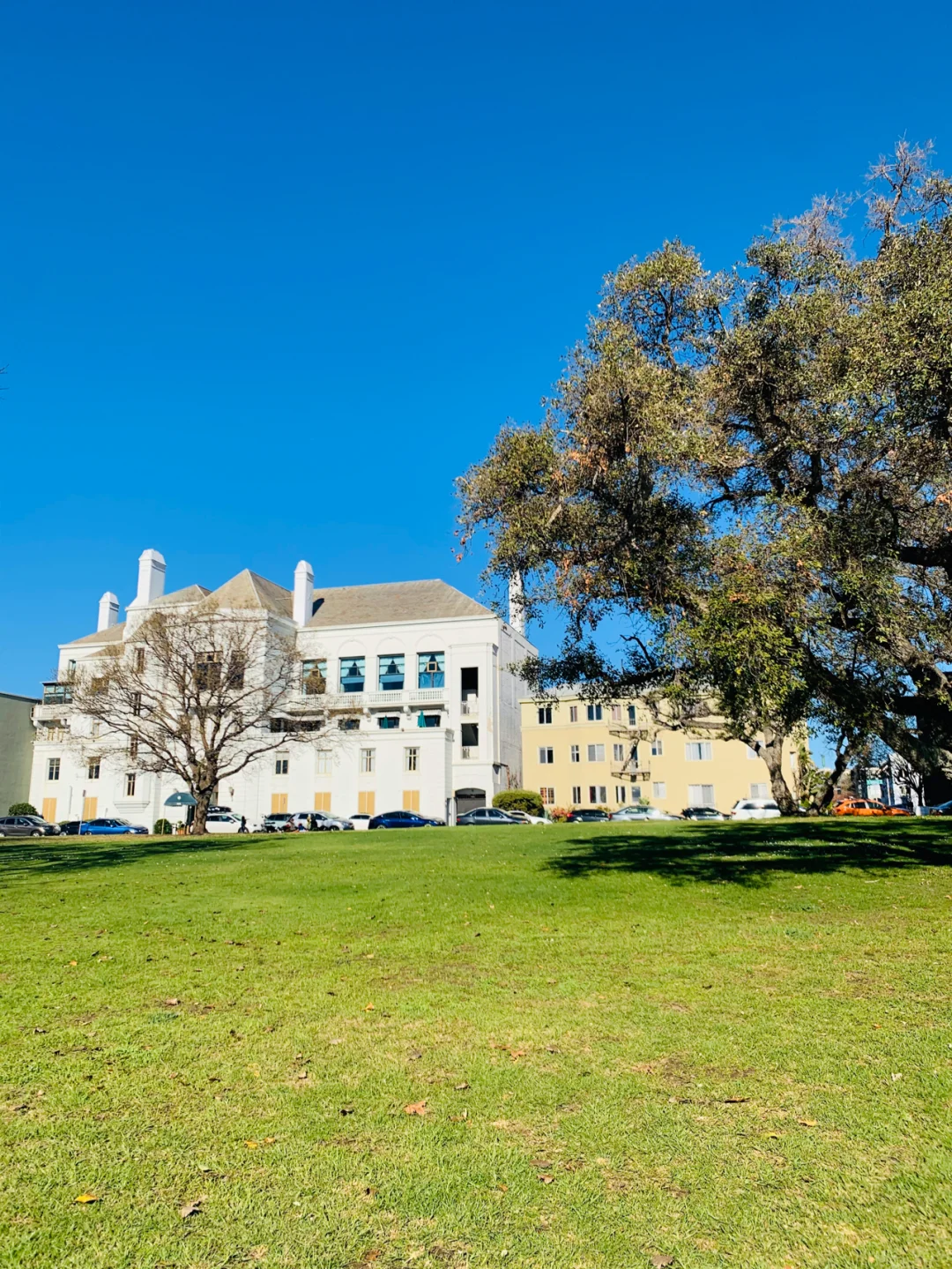 My Ultimate California Sunshine