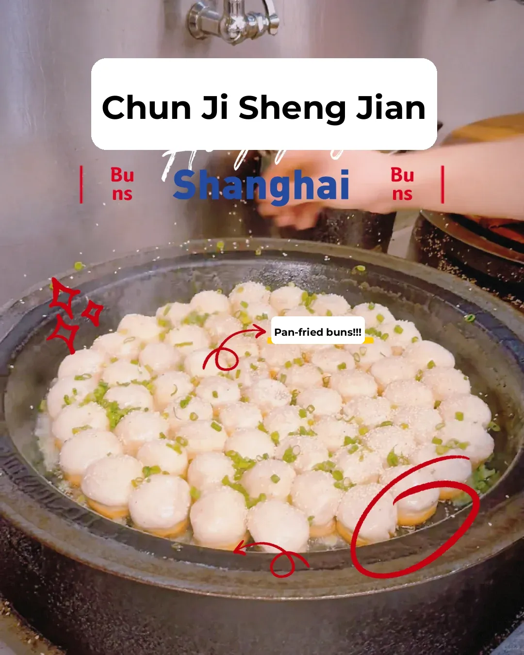 Boston Springtime Pan-Fried Buns