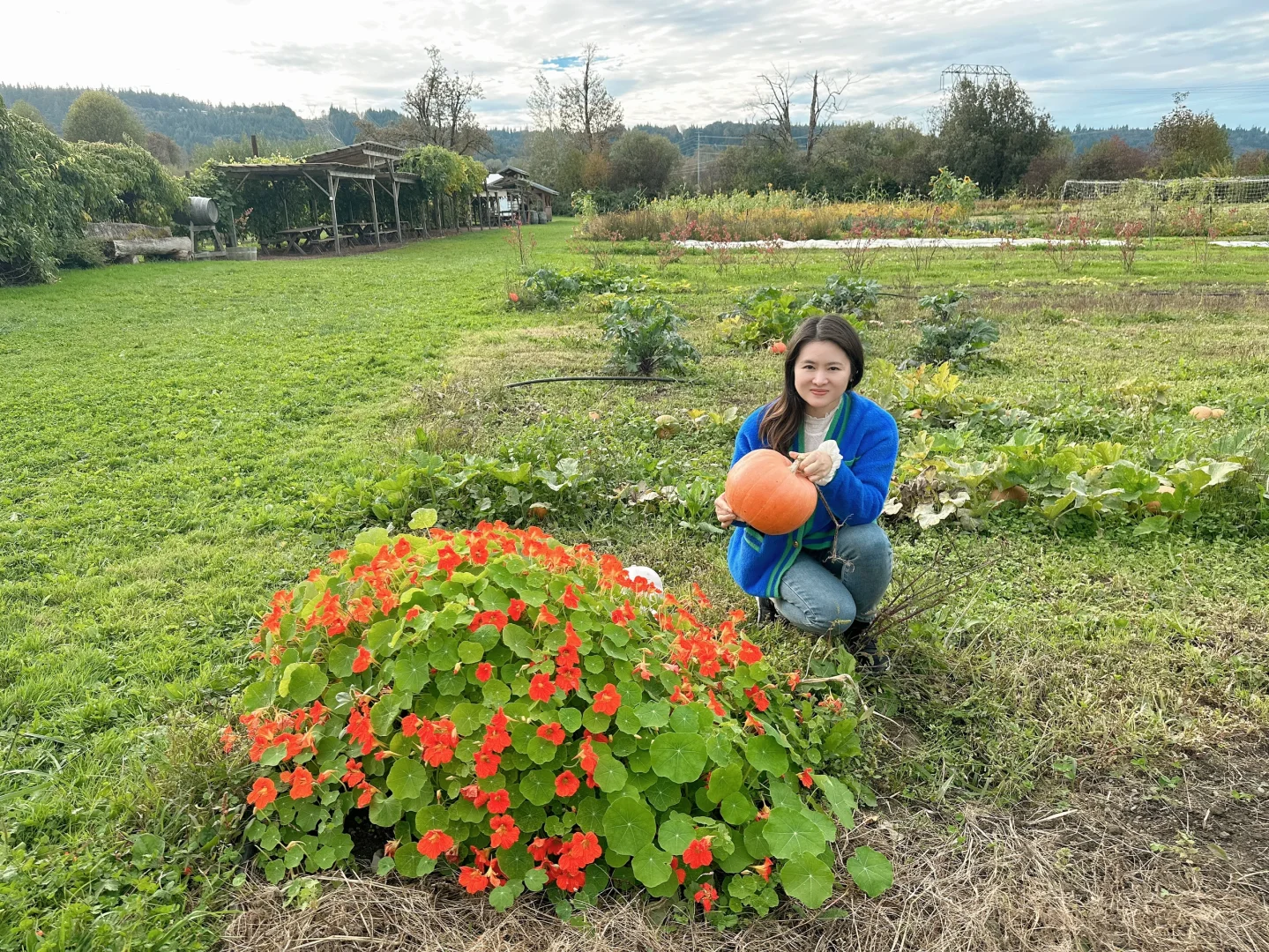 Seattle Farm in the USA