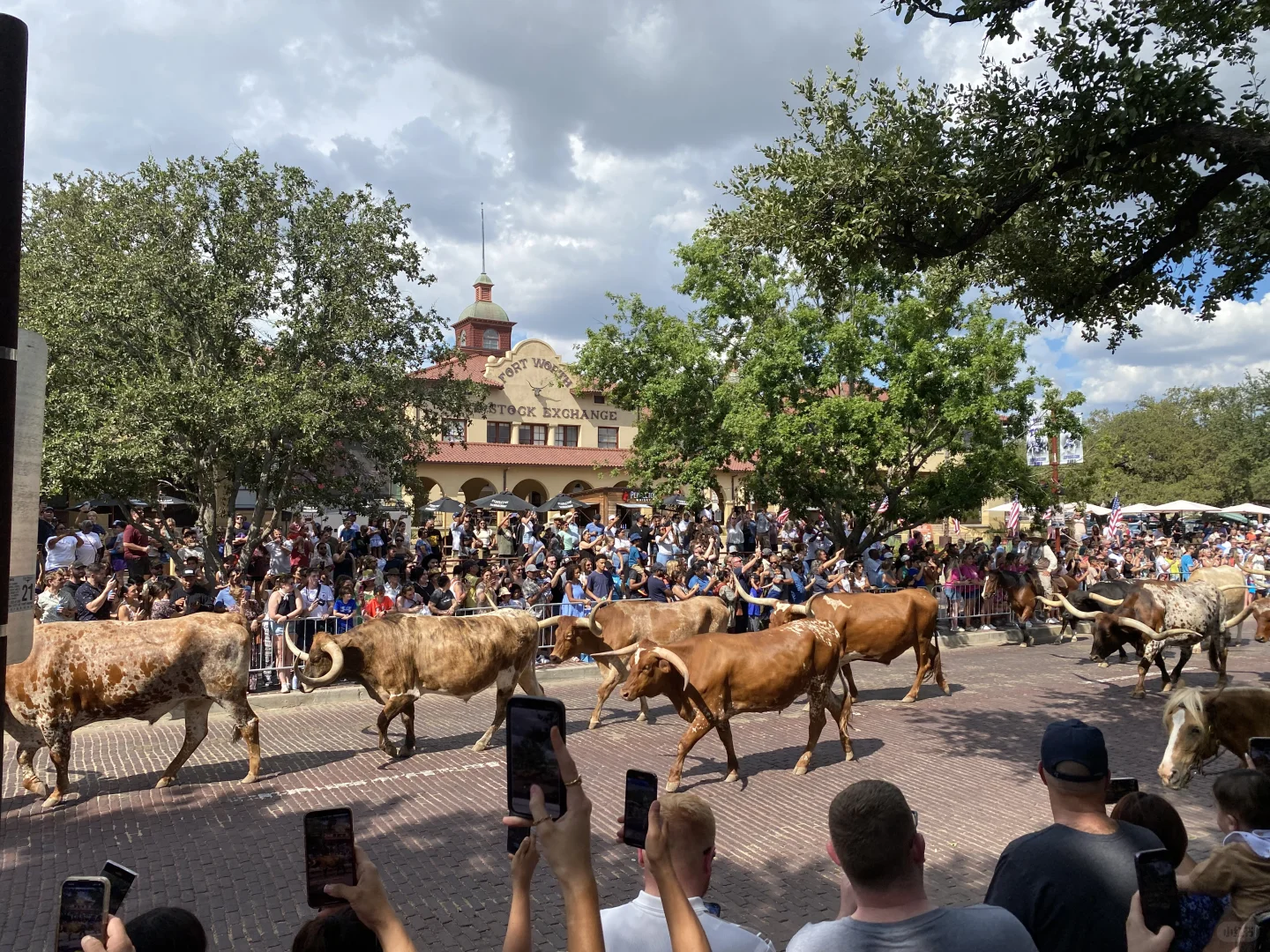 Where to Hang Out on a Two-Day Trip to Dallas