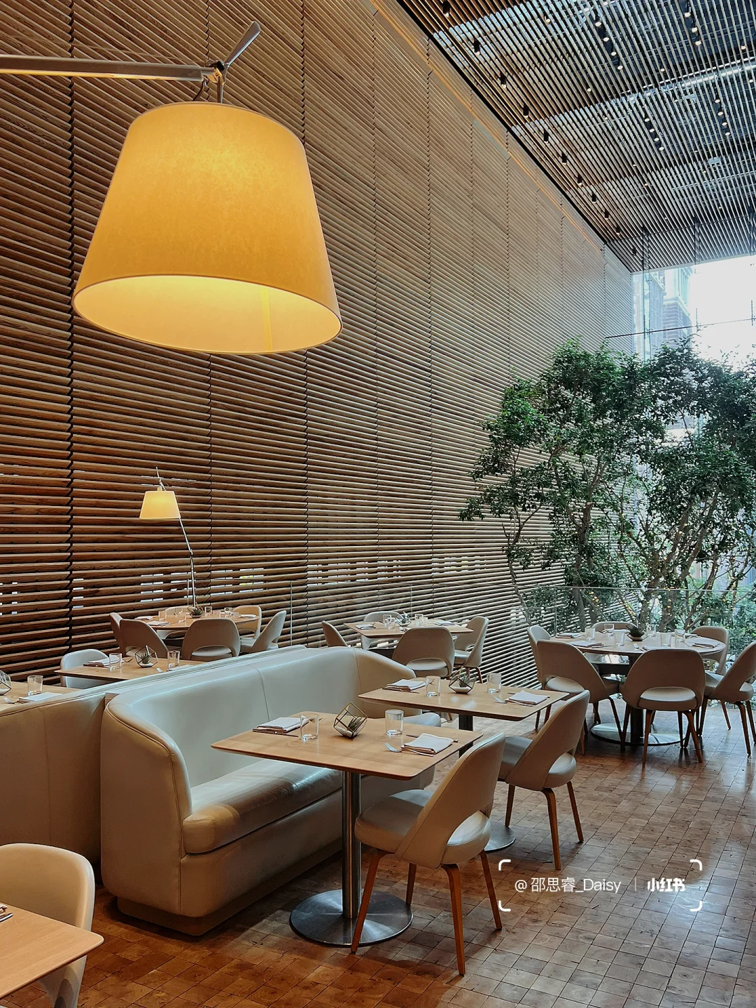 Philadelphia | Nothing Compares to a Beam of Morning Sunlight in a Coffee Shop ☀️