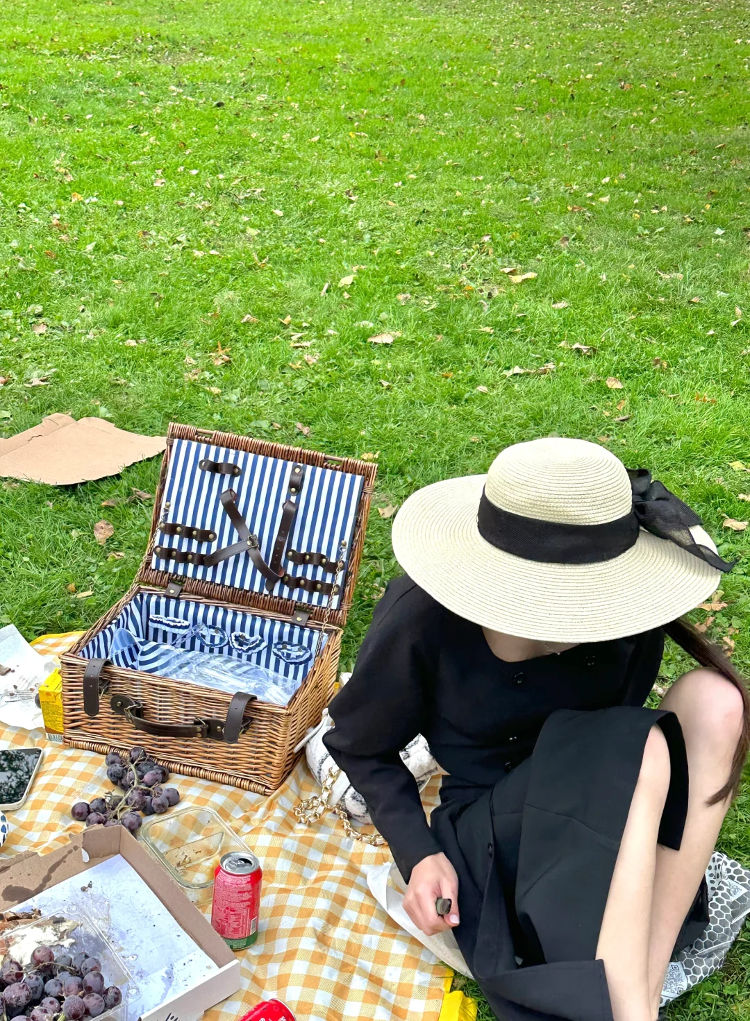 Picnic in NYC's Central Park 🥏