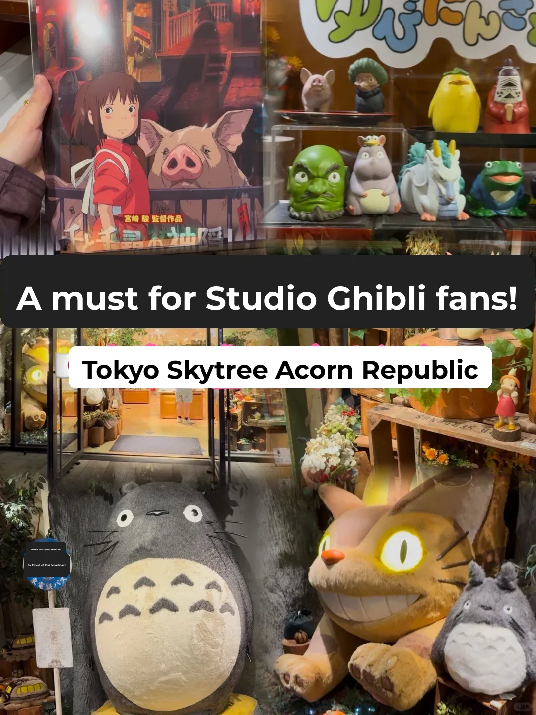 Must-Visit in Japan: The Ghibli Store by Hayao Miyazaki is Absolutely Amazing to Explore