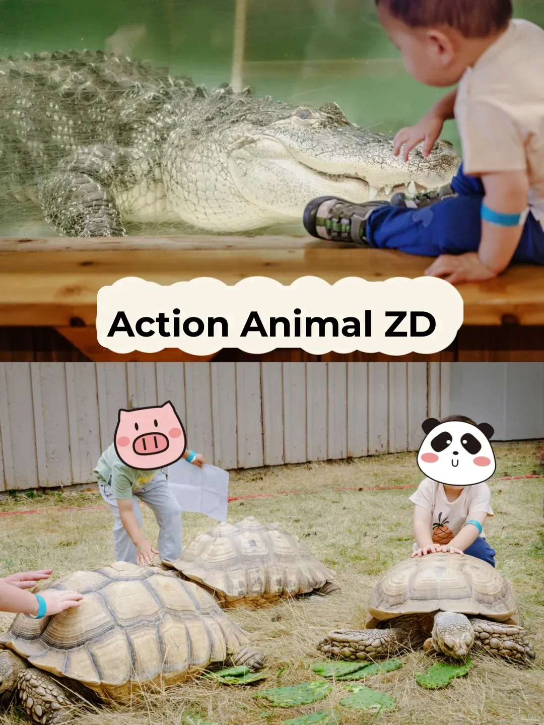 Seattle Family Outing | Calling All Kids and Adults Who Love Reptiles!