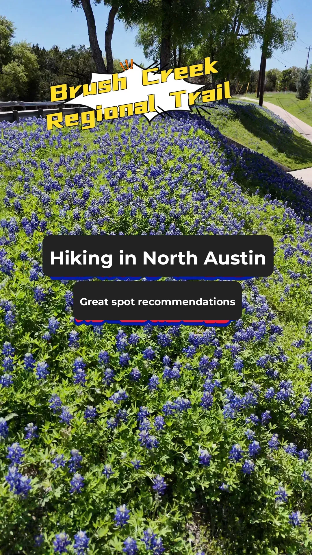 Must-Visit Spots for Hiking Enthusiasts in Austin