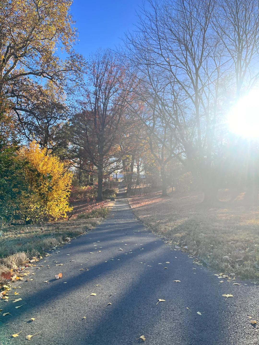 Recommended Hiking Parks in Philadelphia for a Weekend Getaway